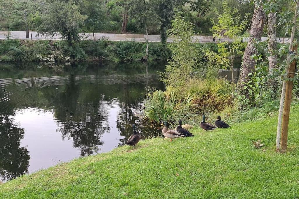 Nature E Spa Al - Termas Saude E Beleza, Totalmente Renovado - Piscinas Municipais Em Frente - Epoca Julho A Setembro Sao Pedro do Sul Exterior photo