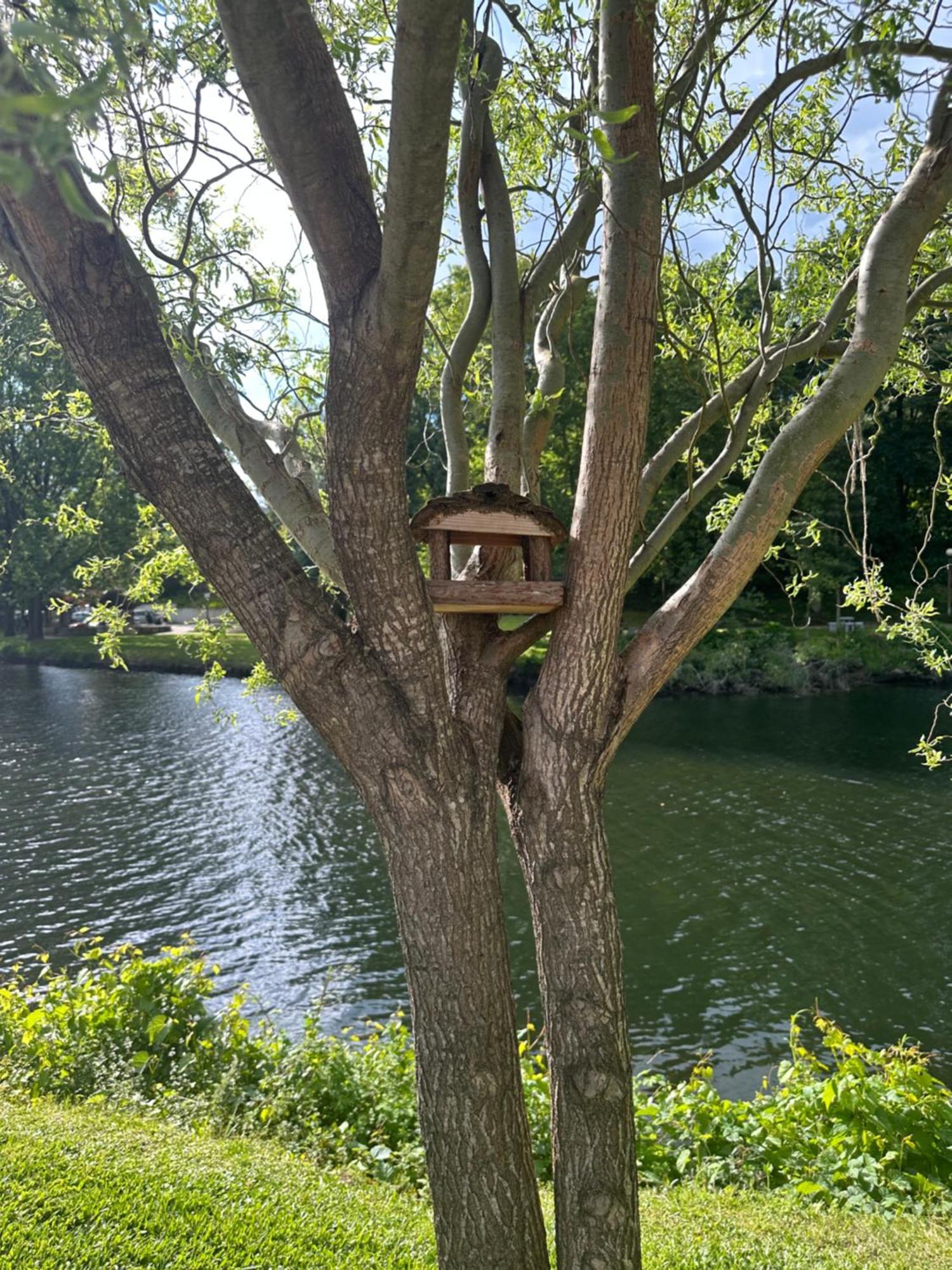 Nature E Spa Al - Termas Saude E Beleza, Totalmente Renovado - Piscinas Municipais Em Frente - Epoca Julho A Setembro Sao Pedro do Sul Exterior photo